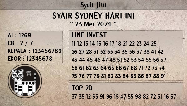 SYAIR SDY VIP